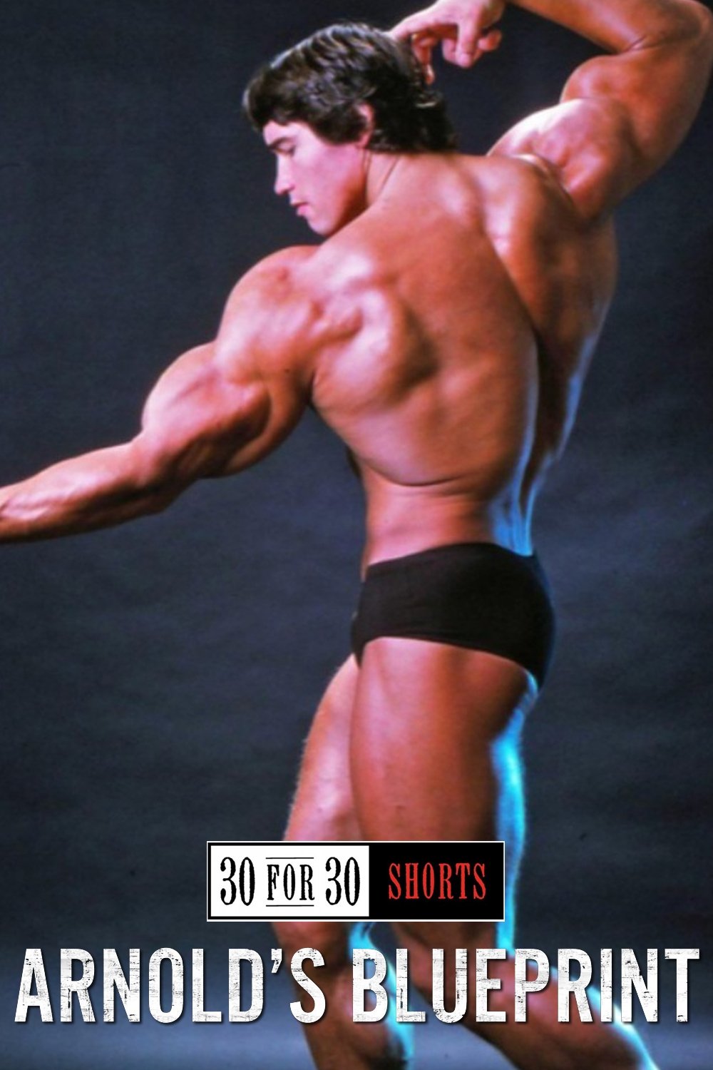Arnold's Blueprint poster