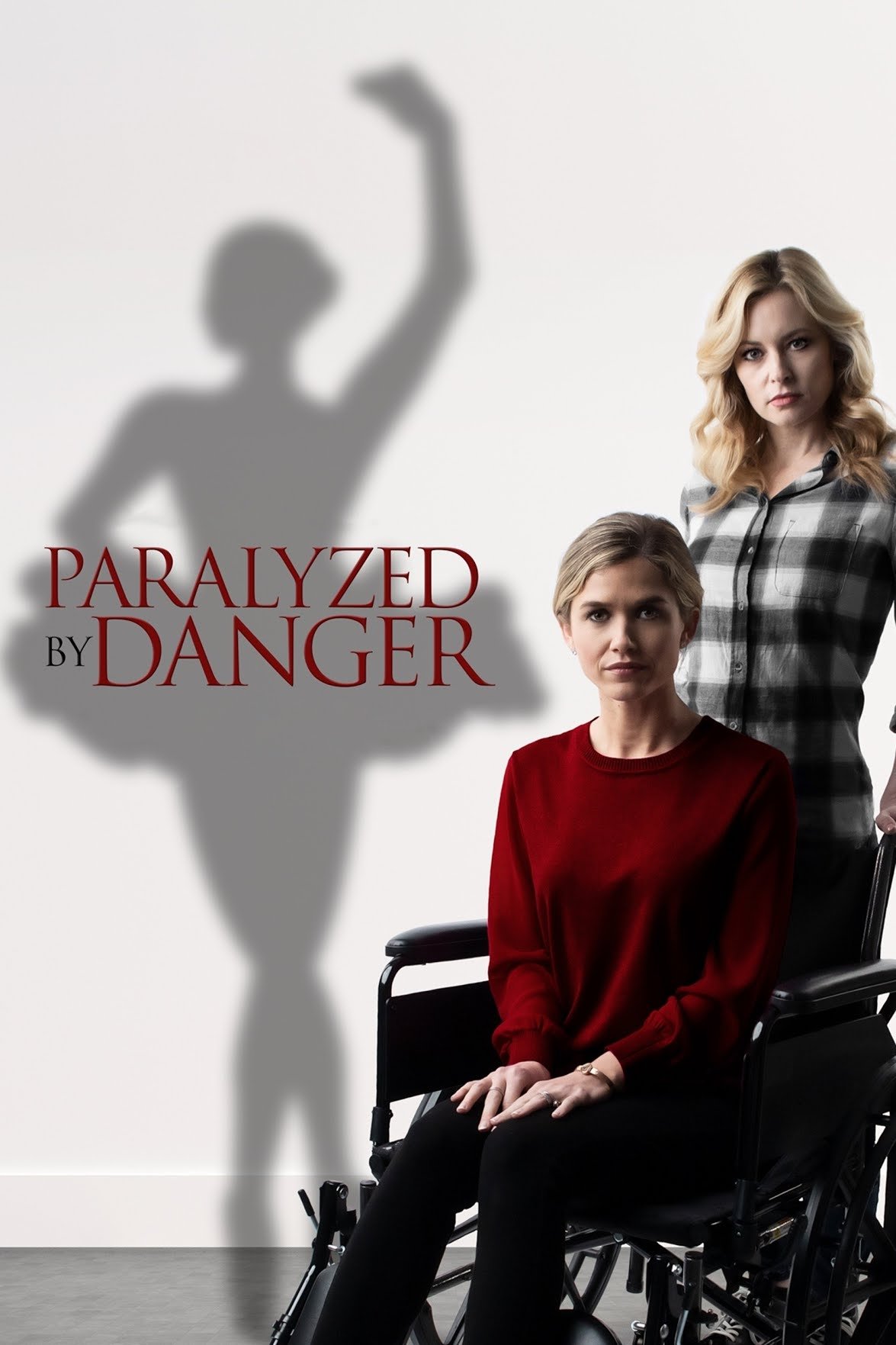 Danger in the Spotlight poster