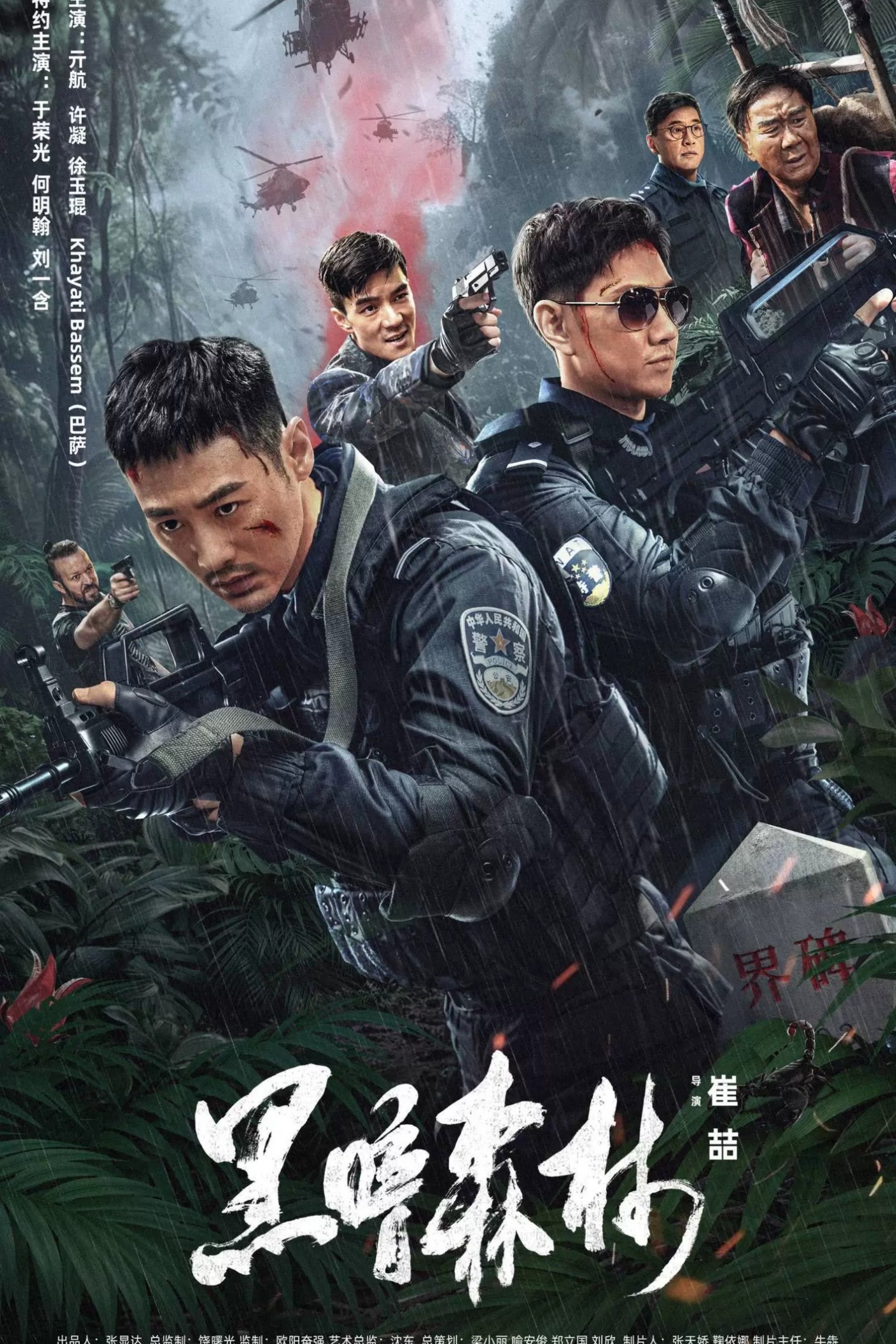 Dark Forest poster