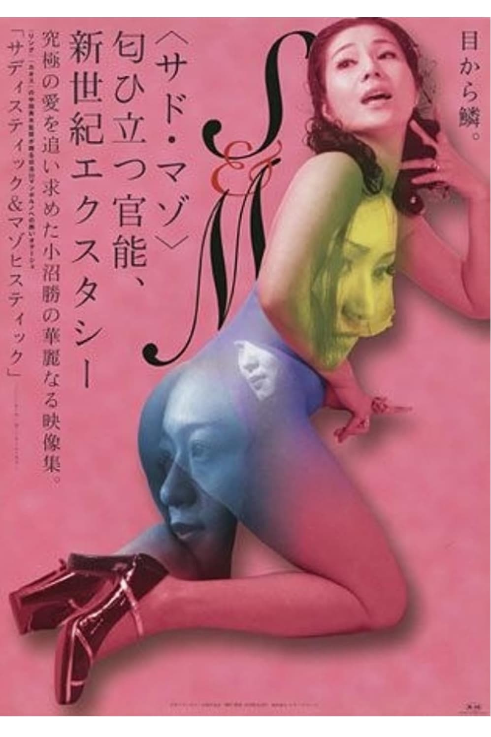 Sadistic and Masochistic poster
