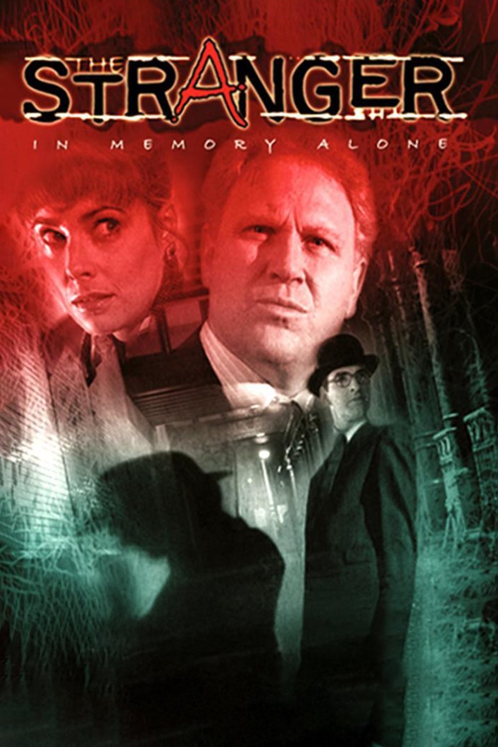 The Stranger: In Memory Alone poster