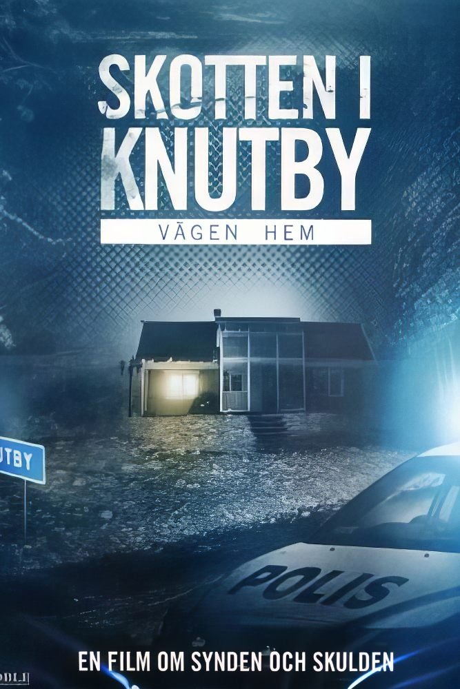 Vägen hem poster